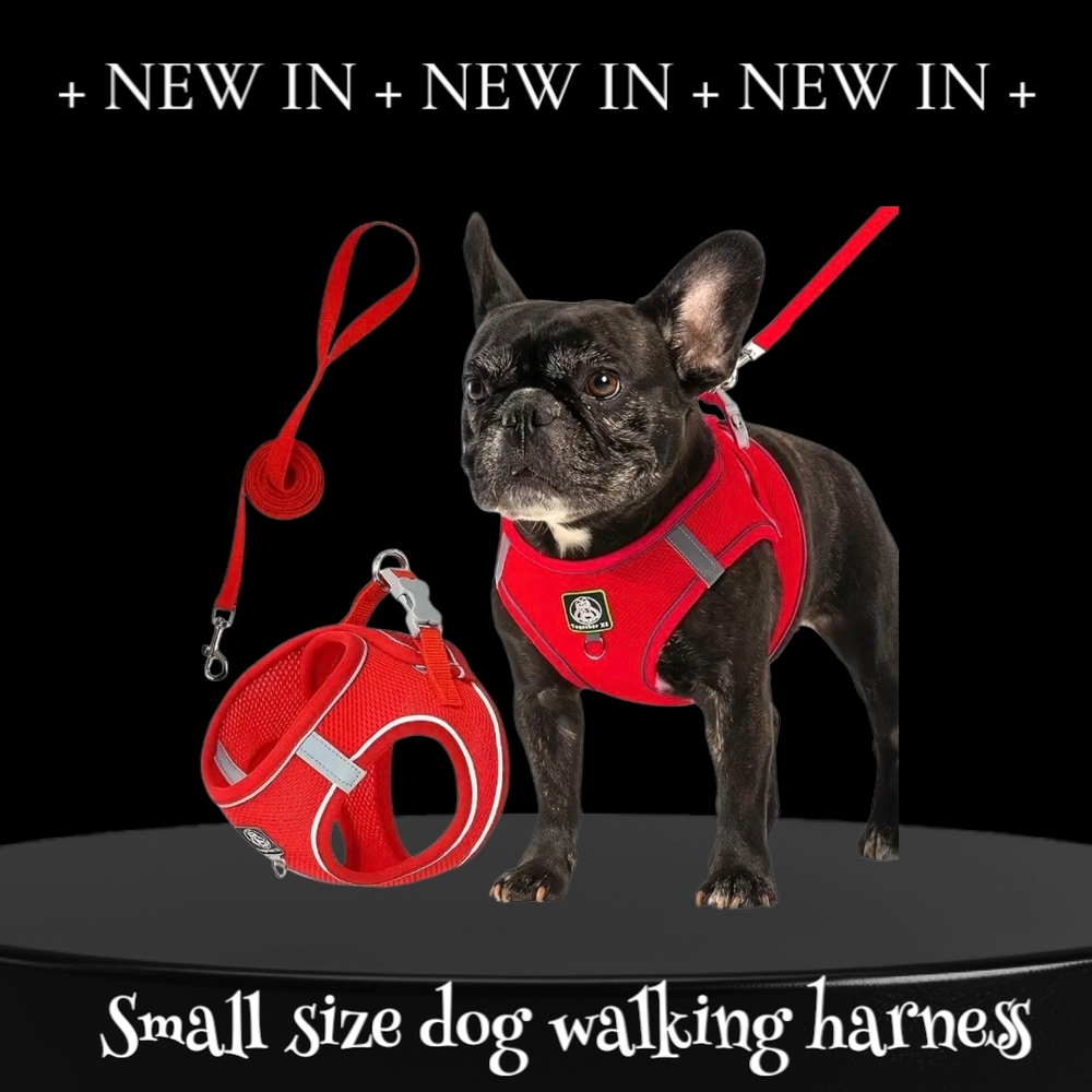 Red Dog Walking Harness and Leash Set